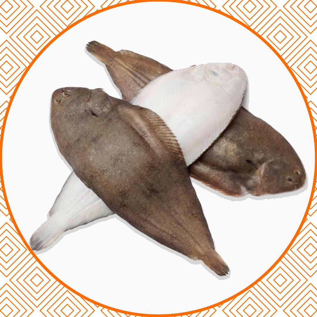 Sole fish fresh