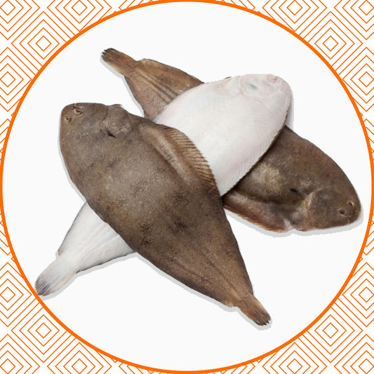 Sole fish fresh